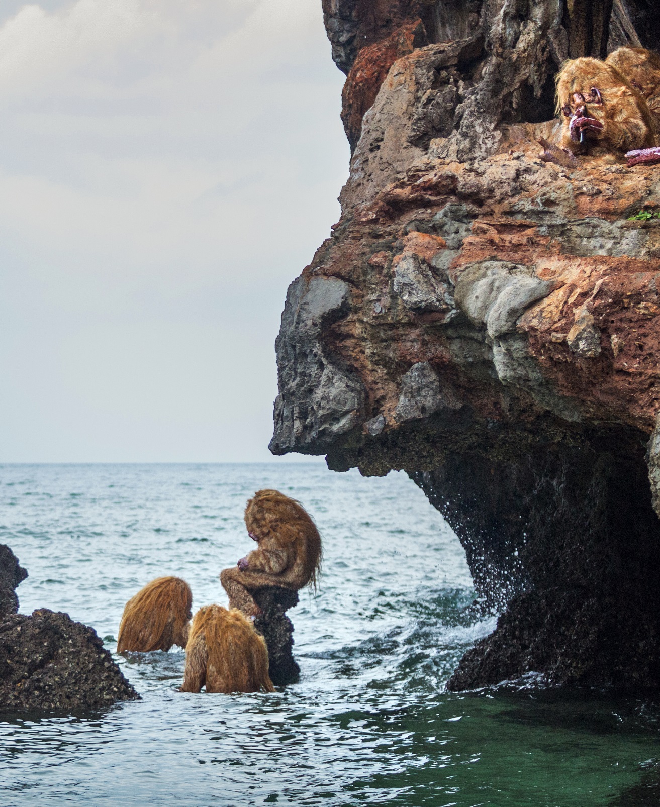 Helsinki Biennaali 2025 HAM Helsinki Biennaali 2025 HAM